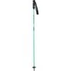 Goode Carbron Neutral Ski Poles | Sea Foam Green | 44-54"